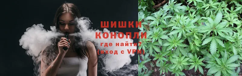 Бошки Шишки Ganja  Жиздра 